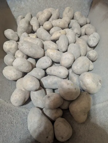 Erdäpfel