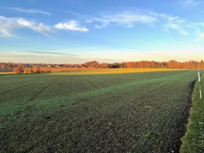 Landwirtschaftliche Nutzfläche in Gilgenberg am Weilhart