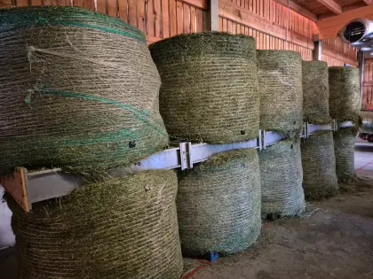 Getrocknete BIO-Heurundballen - Luzerne-Kleegrasmischung