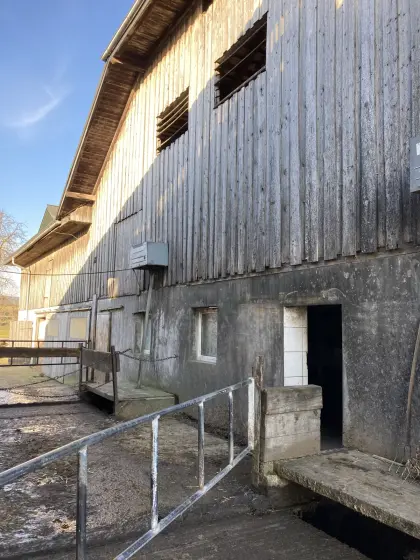 Schauer Entmistungsanlage