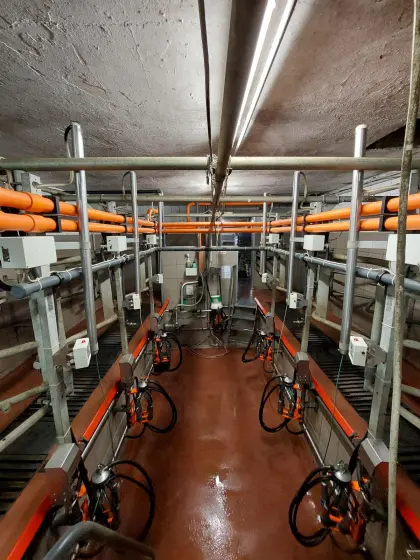 Melkstand 2x3 Fischgräten