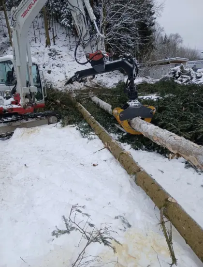 Holzzange mit Baggerschreitfuß, Rotator und Aufnahme