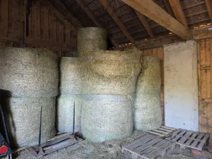 Heuballen 1. Schnitt 2025