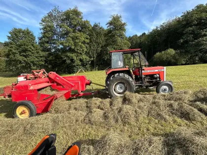 Heu 12 kg Heuballen 2. Schnitt fein Kleintiere Hasen