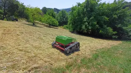 Agria Mähraupe 9600-80