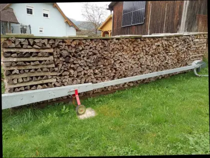 Brennholz, Scheiterholz, Hartholz