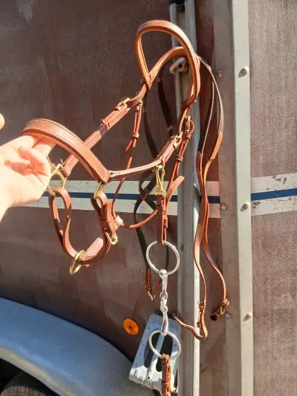 Wanderreithalfter mit Biss und Zügel