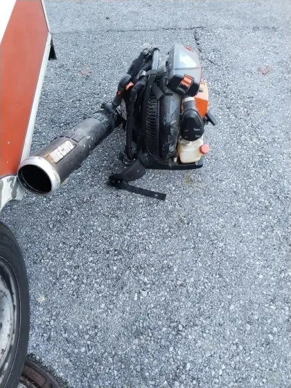 Echo PB 8010 das Biest 5,7 PS