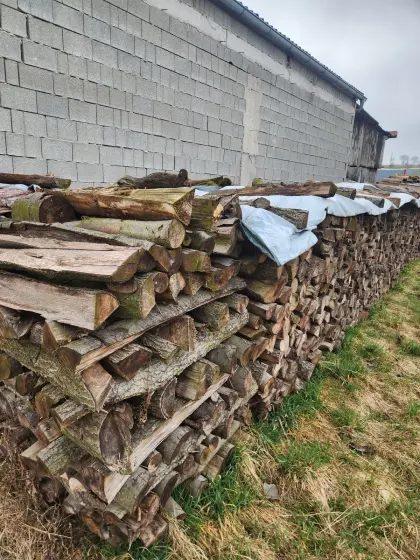 Brennholz 50/50 Erle/Föhre