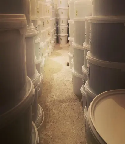 Honig aus Österreich