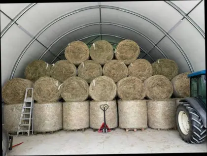Heuballen 1. Schnitt 2025