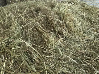 Verkaufe wunderschönes Belüftetes Heu
