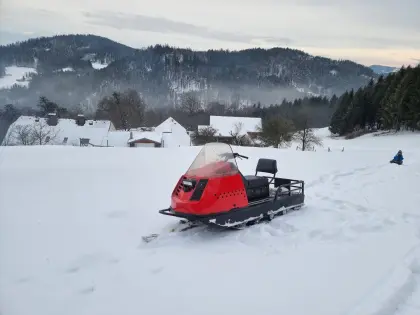 Motorschlitten Alpine Ski-Doo