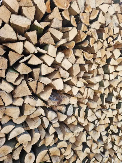 Brennholz Eiche