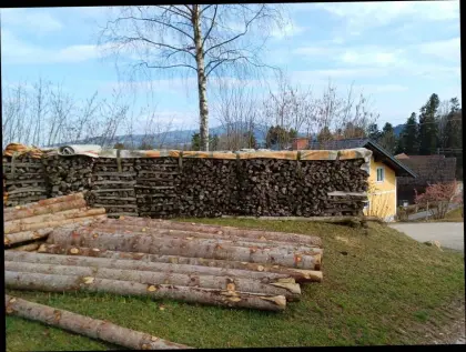 Brennholz - Scheitholz
