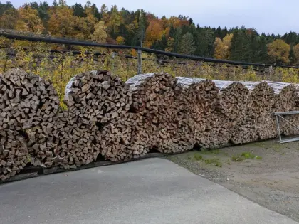 Brennholz gespalten 1 m