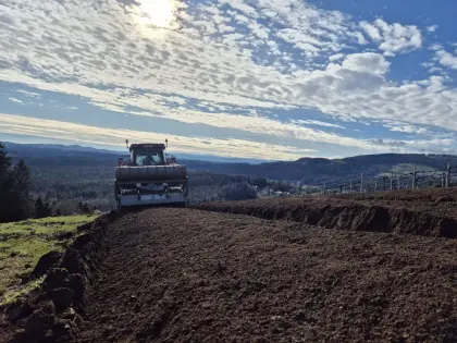 Forstmulchen, Rodungsfräsen