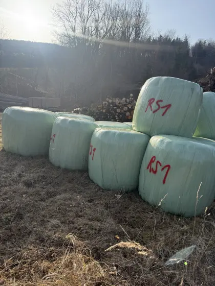 12 Stk. Siloballen 1. Schnitt