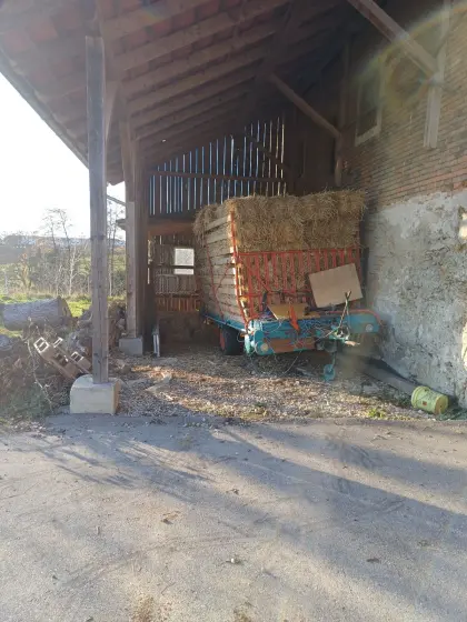 Stroh in Kleinballen