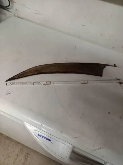 Sensenblatt Schneid Königin