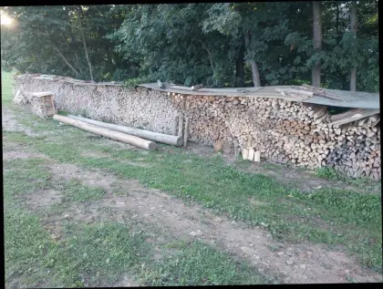 Trockenes Brennholz (Hartholz)