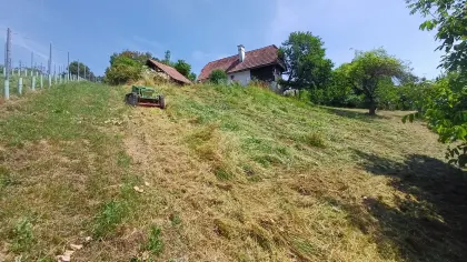 Agria Mähraupe 9600-80