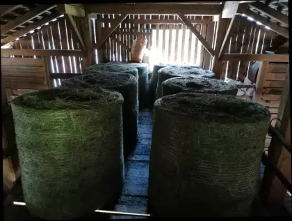 Verkaufe Heurundballen 1. Schnitt