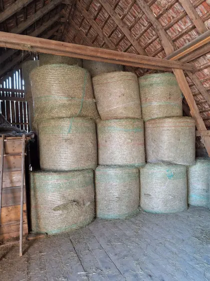 Bio-Heuballen Luzerne Klee 2. Schnitt