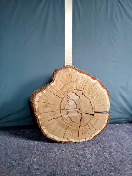 Jumbo Eichenplatte Tisch