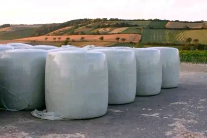 Bio Silomaisballen