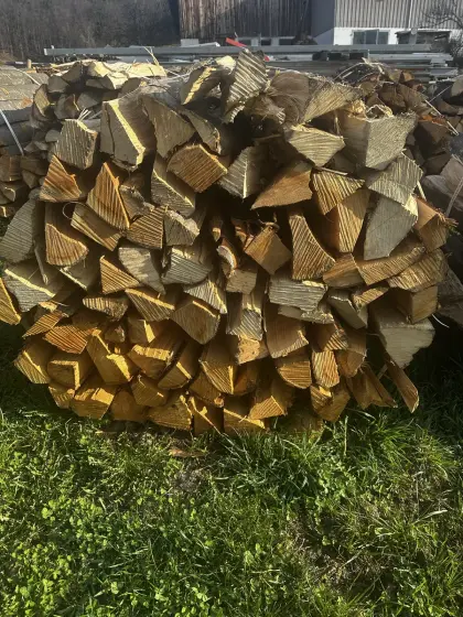 Buchen holz bündel