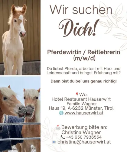 Pferdewirtin gesucht