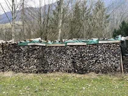 Brennholz Esche, Fichte trocken und gespalten