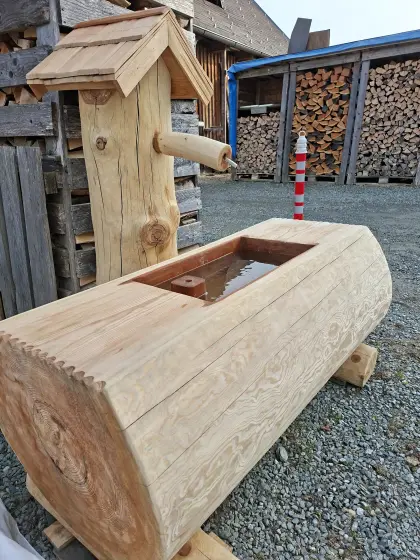 Brunnentrog, Brunntrog