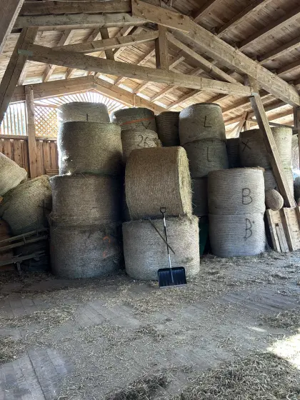 Bio Heuballen zu verkaufen