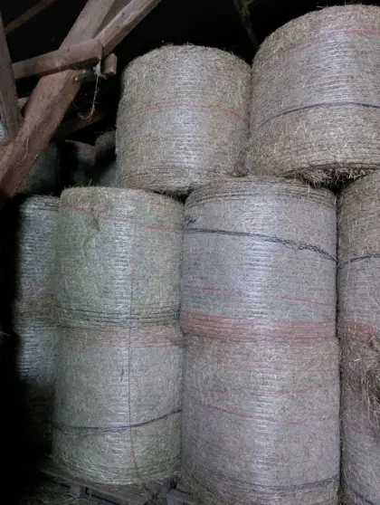 Heuballen, Rundballen BIO 1. Schnitt 2025