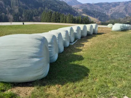 BIO-Silageballen
