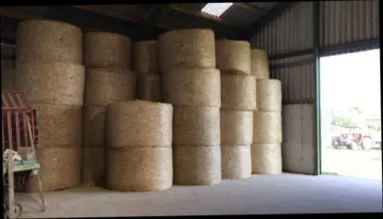 Stroh, Strohrundballen