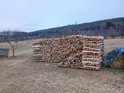 Brennholz Kiefer halbtrocken 33 cm