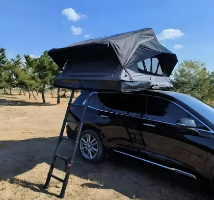 Dachzelt 190 x 210 x 110 cm Grau/Schwarzes Soft