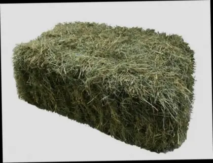 Wienerwaldheu für Kleintiere