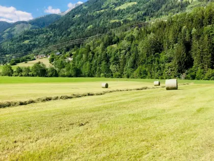 BIO Heu- und Silorundballen abzugeben
