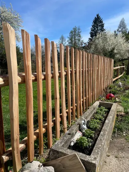 Lärchenzaun, Lärche, Lärchensprossen, Zaun