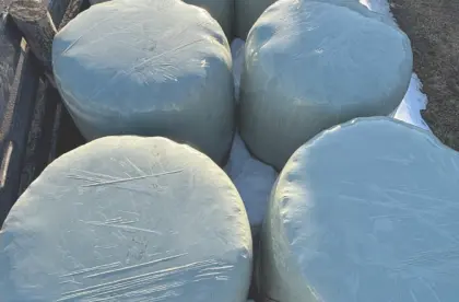 Siloballen