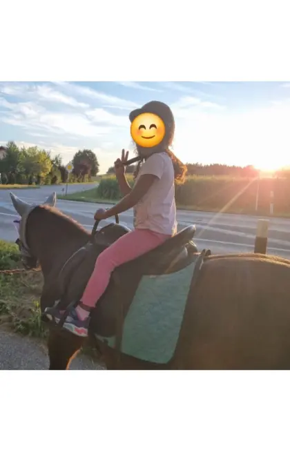 Kinderpony Stute Pony