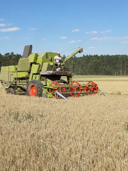 Mähdrescher Claas Senator