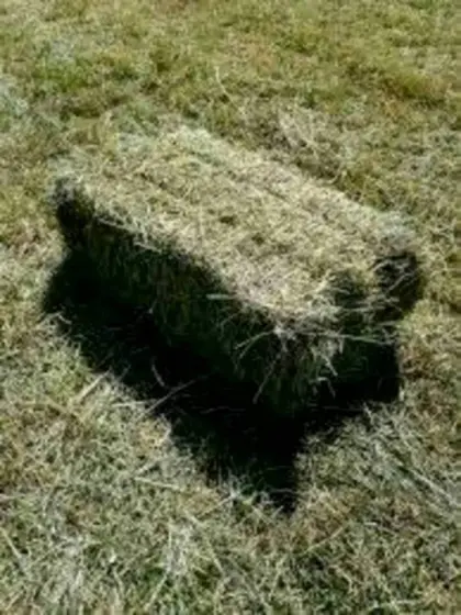 Heu in Kleinballen