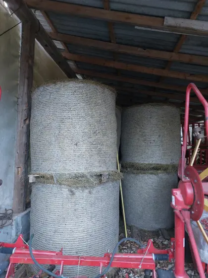 Heurundballen Dm. 125 cm in Bio-Qualität