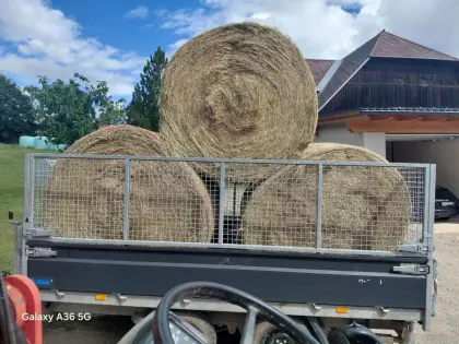 Bio Heu 1. und 2. Schnitt