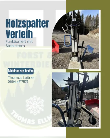 Holzspalter Verleih